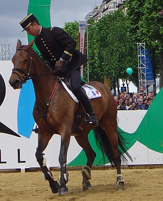 <span class="mw-page-title-main">Arnaud Boiteau</span> French equestrian