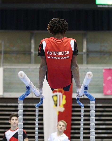 File:Austrian Future Cup 2018-11-23 Training Afternoon Parallel bars (Martin Rulsch) 0755.jpg