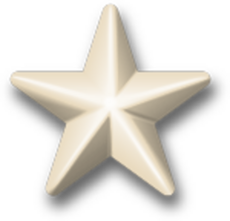 Fail:Award-star-silver-gilt-3d.png