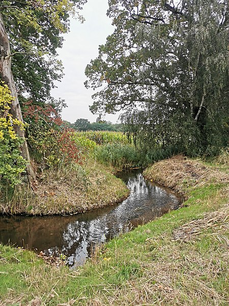 Bache bei Theeßen