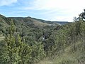 Banat, Nera Canyon - panoramio (81).jpg