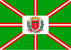 Bandeira do Município de Curitiba