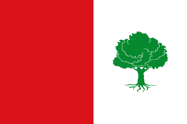 File:Bandera de El Peral.svg