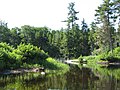 Thumbnail for File:Beaver River near Lake Lila.jpg