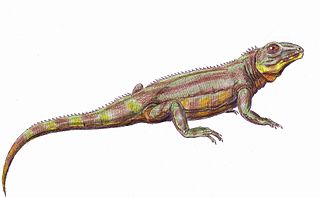 <span class="mw-page-title-main">Bolosauridae</span> Extinct family of reptiles