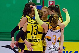 Beng Rovigo Volley 2015-2016 001.jpg