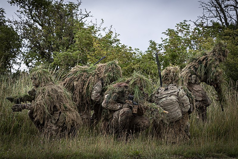 File:Best of Defence Imagery 2020 - RAF REGIMENT CONDUCT SPECIALIST PROTECTION TRAINING 38GpPO-OFFICIAL-20200714-0125-684.jpg