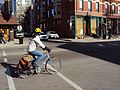 Biker at the intersection (4471322889).jpg