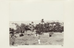 Bild från familjen von Hallwyls resa genom Egypten och Sudan, 5 november 1900 – 29 mars 1901 - Hallwylska museet - 91759.tif