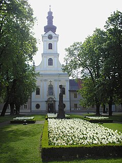 Bjelovar Cathedral cathedral in the town of Bjelovar