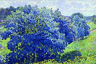The blue bush, 1908