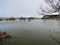 High water at the confluence of the Stepenitz and Radegast in March 2010