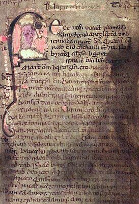 Book of Leinster, folio 53.jpg