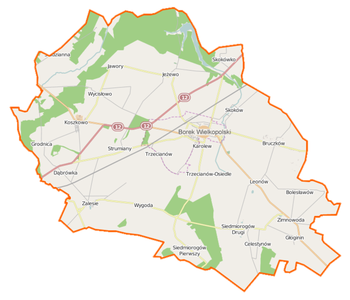 File:Borek Wielkopolski (gmina) location map.png