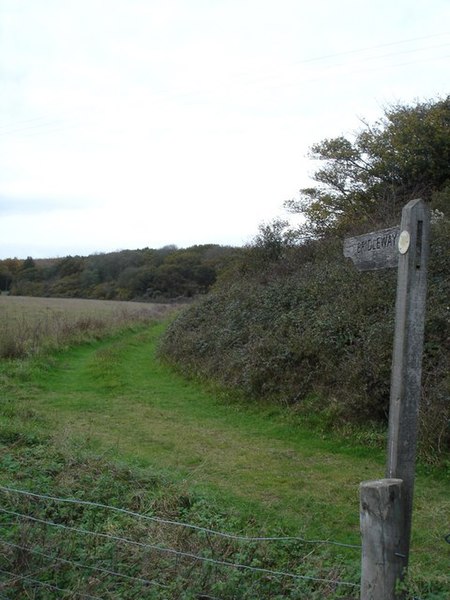 File:Bridleway on edge of Martin Down, towards Vernditch Chase - geograph.org.uk - 277225.jpg