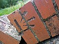 wikimedia_commons=File:Broken footbridge, near Footpath 75A, Bexhill.jpg