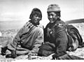 Bundesarchiv Bild 135-KB-12-030, Tibetexpedition, Tibetische Hirtenjungen.jpg