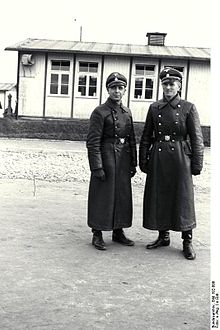 Bundesarchiv Bild 192-099, KZ Mauthausen, Georg Bachmayer mit SS-Mann.jpg