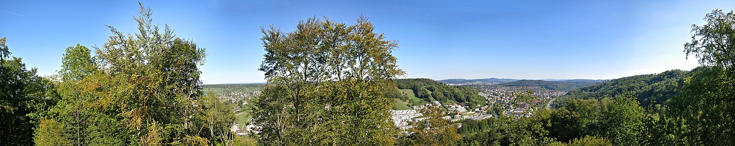 Panorama von der Burgruine Alt-Wülflingen