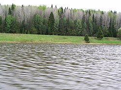 Река у впадения в Камское водохранилище