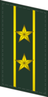 CAPF-obojek-0715-LTC.png