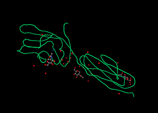 <span class="mw-page-title-main">CD2</span> Cell adhesion molecule found on the surface of T cells and natural killer