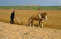 Vignette pour la version du 19 septembre 2014 à 14:10