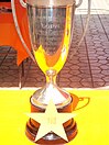 CampeonatoCobreloa1982.jpg 