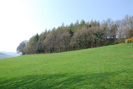 Castle ditches geograph 390993 by Toby