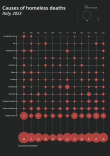 Causes of homeless deaths in Italy in 2023.