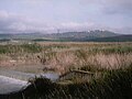 Vista del arroyo Cigno, con sus grandes cuencas, unos 3 km (en línea recta) antes de su afluencia en el Biferno.