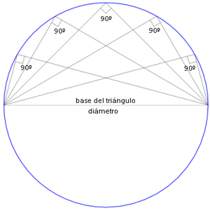 Circunferencia