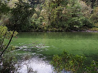 <span class="mw-page-title-main">Clinton River (New Zealand)</span> River in Southland Region, New Zealand