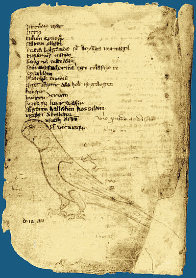 A page from "Codex Kumanicus". The Codex was designed in order to help Catholic missionaries communicate with the Kumans.