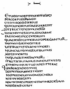 Codex claromontanus latin (The S.S. Teacher's Edition-The Holy Bible - Plate XXVIII).jpg