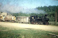 Steam-powered logging train in Comandău, Romania.