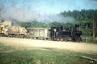 Un treno della Ferrovia forestale