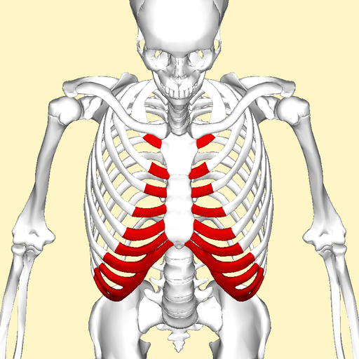 costochondritis can cause chest pain from poor posture