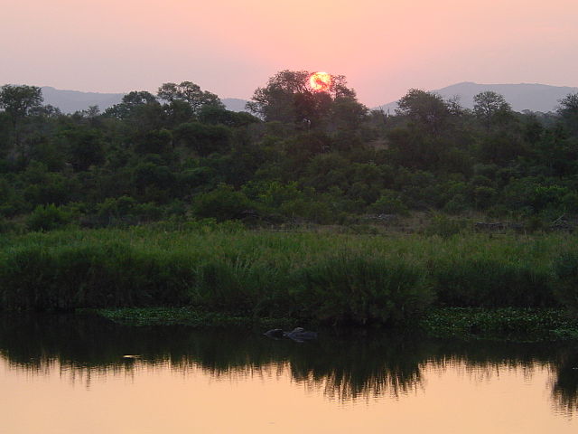 File:Crocodile_river_Kruger_Park03.JPG