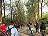 Crowd in Tsinghua University.jpg