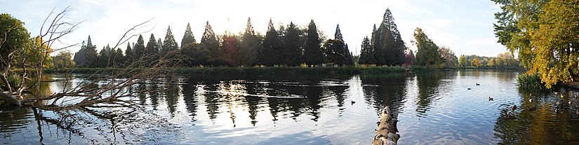 A lake in Crystal Springs Rhododendron Garden