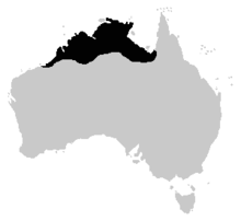 Cyclorana australis distrib.png 