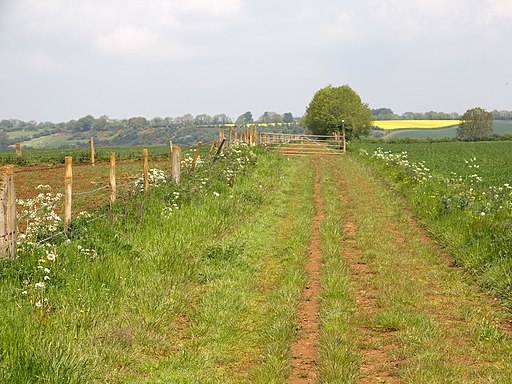 D'Arcy Dalton Way - geograph.org.uk - 3489690