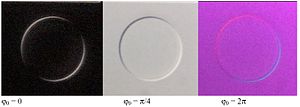 Differential Interference Contrast Microscopy