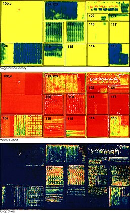 Daedelus comparison, remote sensing in precision farming