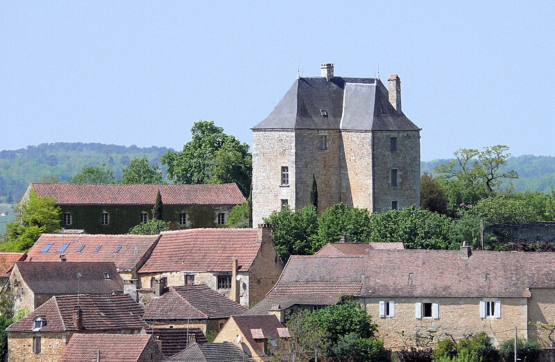 File:Daglan - Château de Peyruzel -02.JPG