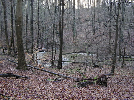 Dalbekschlucht P1210010