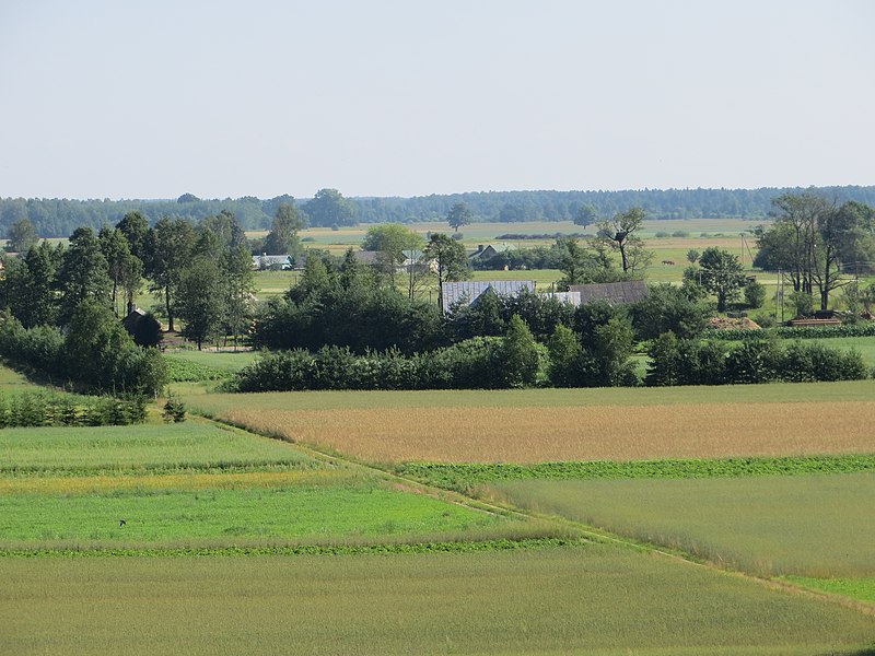 File:Dargužiai 65445, Lithuania - panoramio (20).jpg