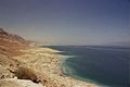 Dead Sea-9.jpg