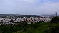 Dealul Cetățuia, 100 m altitudine, 25 mai, 2014 - panoramio (7).jpg